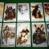 Tarot Malefic von Luis & Romulo Royo – Bild 6